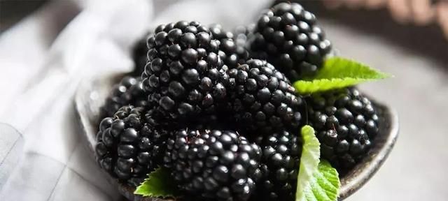 莓果的营养价值,洋莓果是什么水果图5