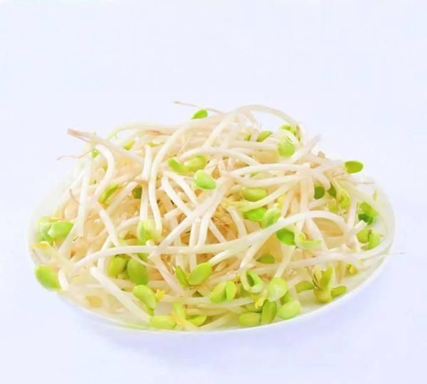 绿豆芽没出芽有毒吗