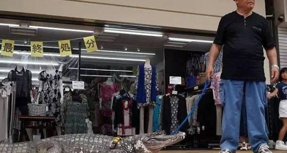 男子跟鳄鱼生活20年(日本有鳄鱼吗)图2