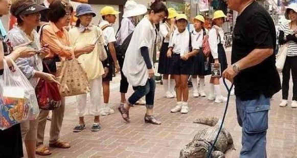 男子跟鳄鱼生活20年(日本有鳄鱼吗)图3