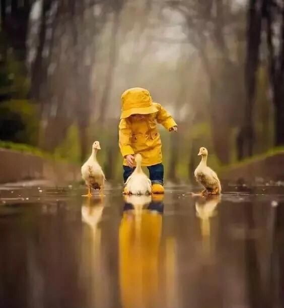 浠€涔堟槸绀炬亹(浠€涔堟槸绀炬亹蹇冪悊)鍥?