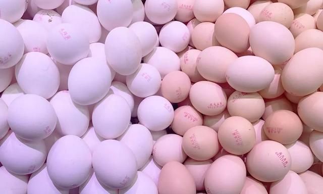 鸡蛋究竟是红皮好还是白皮好呢