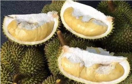 托曼尼榴莲和甲仑榴莲谁的核更大