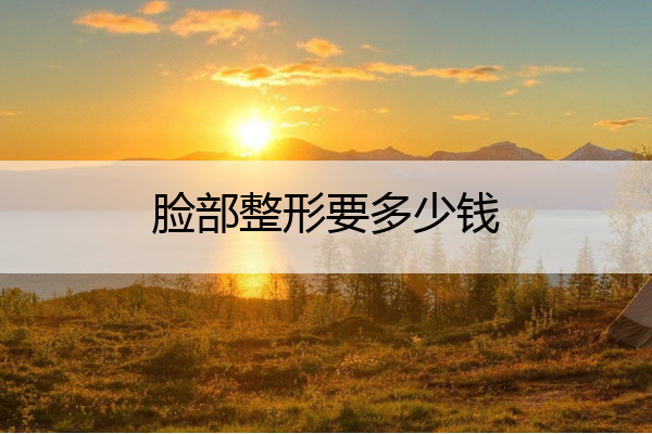 脸部整形要多少钱