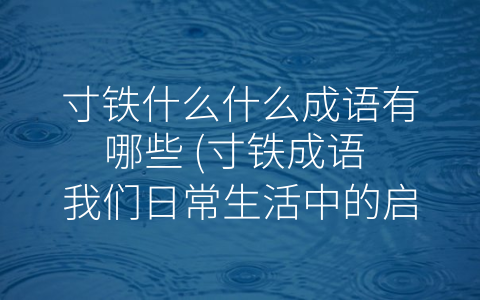 寸铁什么什么成语有哪些 (寸铁成语 我们日常生活中的启示)