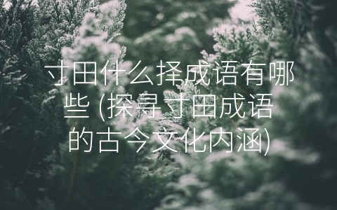 寸田什么择成语有哪些 (探寻寸田成语的古今文化内涵)