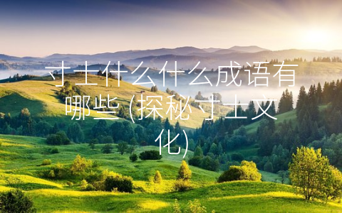寸士什么什么成语有哪些 (探秘寸士文化)