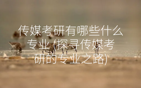 传媒考研有哪些什么专业 (探寻传媒考研的专业之路)