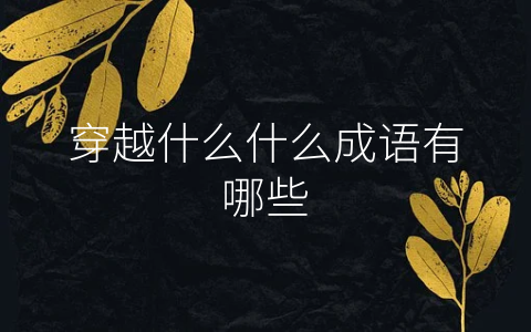穿越什么什么成语有哪些