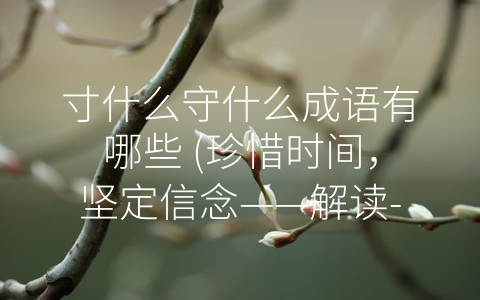 寸什么守什么成语有哪些 (珍惜时间，坚定信念——解读-寸什么守什么”成语)