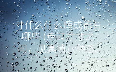 寸什么什么辉成语有哪些 (走过寸寸之间，见真情八种态。)