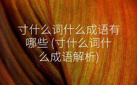 寸什么词什么成语有哪些 (寸什么词什么成语解析)