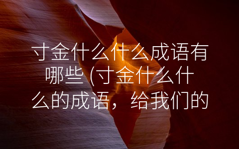 寸金什么什么成语有哪些 (寸金什么什么的成语，给我们的人生启示。)