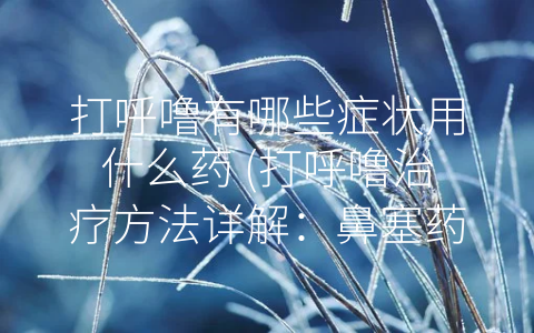 打呼噜有哪些症状用什么药 (打呼噜治疗方法详解：鼻塞药物+吸入剂+止鼾器)