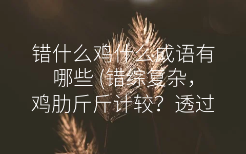 错什么鸡什么成语有哪些 (错综复杂，鸡肋斤斤计较？透过五个成语，探究其内涵。)