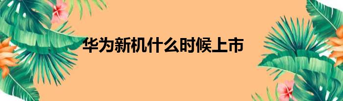 华为新机什么时候上市