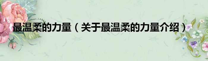 最温柔的力量 关于最温柔的力量介绍