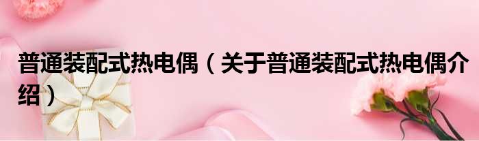 普通装配式热电偶 关于普通装配式热电偶介绍