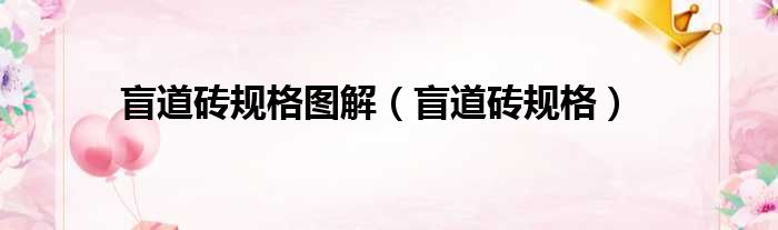 盲道砖规格图解 盲道砖规格