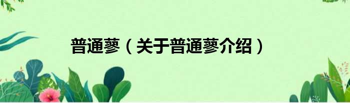 普通蓼 关于普通蓼介绍