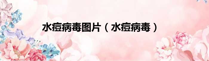 水痘病毒图片 水痘病毒