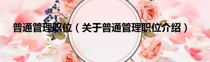 普通管理职位 关于普通管理职位介绍