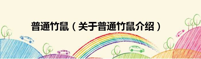 普通竹鼠 关于普通竹鼠介绍