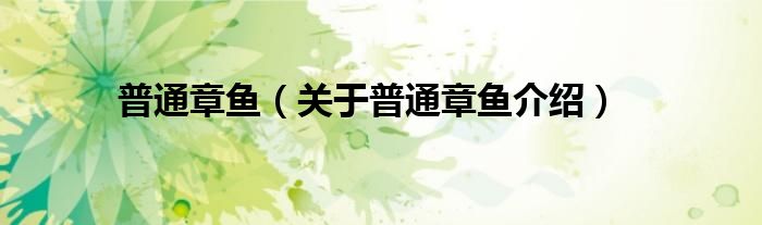 普通章鱼 关于普通章鱼介绍