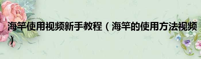 海竿使用视频新手教程 海竿的使用方法视频