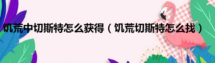 饥荒中切斯特怎么获得 饥荒切斯特怎么找