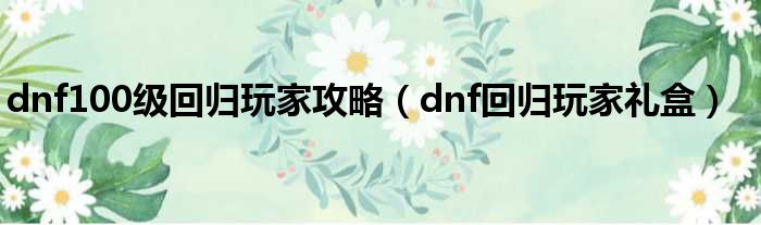 dnf100级回归玩家攻略 dnf回归玩家礼盒