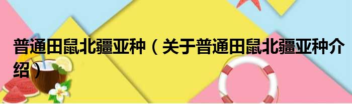 普通田鼠北疆亚种 关于普通田鼠北疆亚种介绍