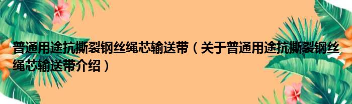 普通用途抗撕裂钢丝绳芯输送带 关于普通用途抗撕裂钢丝绳芯输送带介绍
