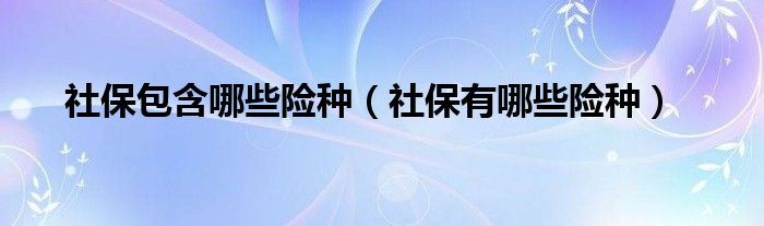 社保包含哪些险种 社保有哪些险种