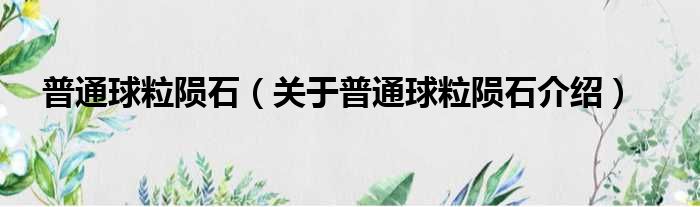 普通球粒陨石 关于普通球粒陨石介绍