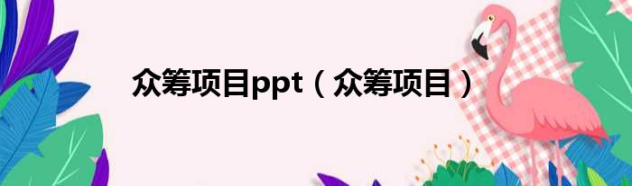 众筹项目ppt 众筹项目