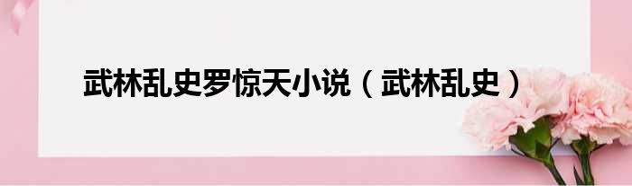 武林乱史罗惊天小说 武林乱史