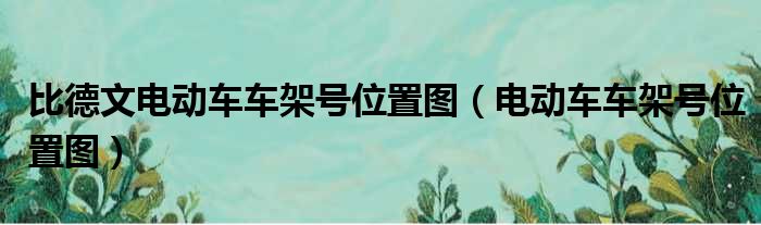 比德文电动车车架号位置图 电动车车架号位置图