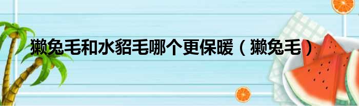 獭兔毛和水貂毛哪个更保暖 獭兔毛