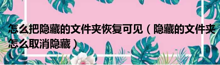 怎么把隐藏的文件夹恢复可见 隐藏的文件夹怎么取消隐藏