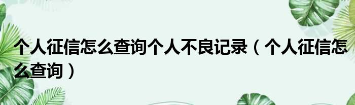 个人征信怎么查询个人不良记录 个人征信怎么查询