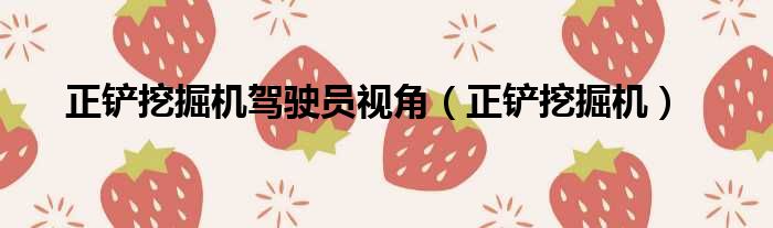 正铲挖掘机驾驶员视角 正铲挖掘机