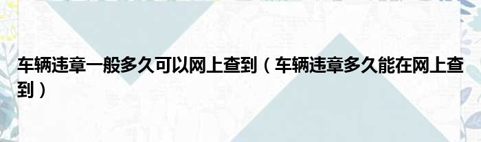 车辆违章一般多久可以网上查到 车辆违章多久能在网上查到