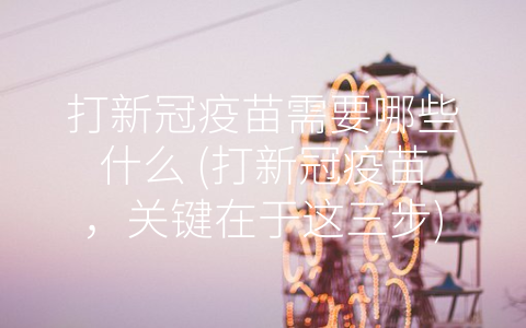 打新冠疫苗需要哪些什么 (打新冠疫苗，关键在于这三步)