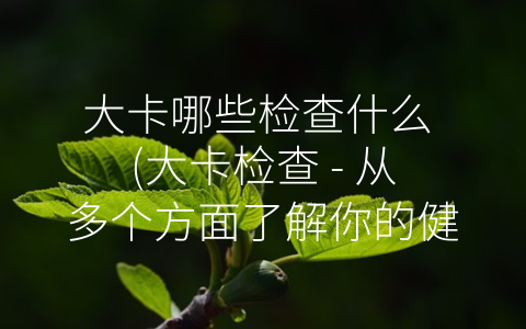 大卡哪些检查什么 (大卡检查 - 从多个方面了解你的健康状况)