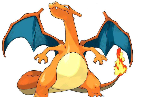 神奇宝贝是什么