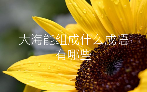 大海能组成什么成语有哪些