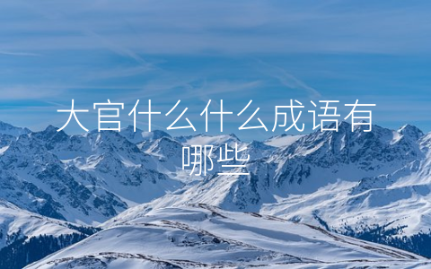 大官什么什么成语有哪些