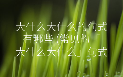 大什么大什么的句式有哪些 (常见的「大什么大什么」句式解析)