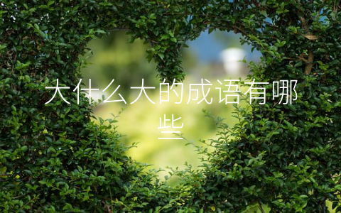 大什么大的成语有哪些